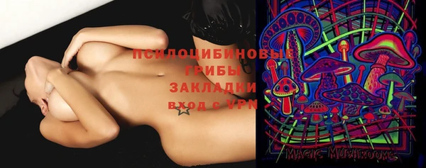 apvp Арсеньев