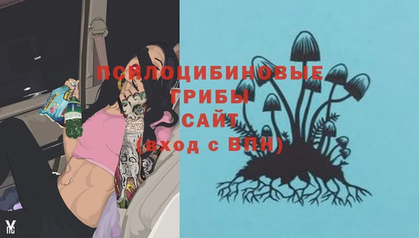 apvp Арсеньев