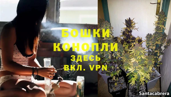 apvp Арсеньев